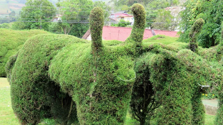 Zarcero, Costa Rica: Descubre el Asombroso Jardín Topiario y el Legado de su Creador